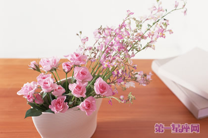 不同性格送不同的鲜花