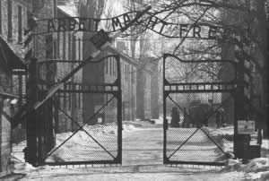 纳粹确定处理犹太人的最后解决方案--种族灭绝