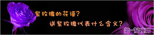紫玫瑰的花语?送紫玫瑰代表什么含义?