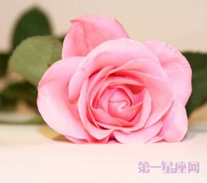 送玫瑰花祝福语怎么写?