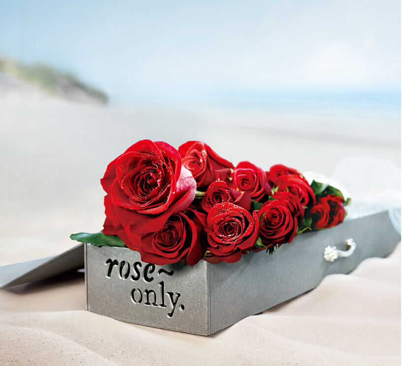  红玫瑰花语是什么