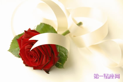 玫瑰花什么时间开花?