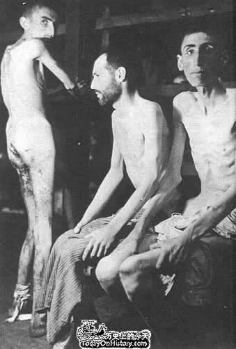 纳粹确定处理犹太人的最后解决方案--种族灭绝